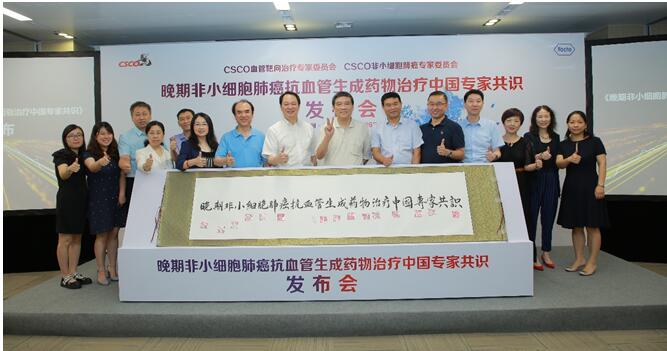 《晚期非小細胞肺癌抗血管生成藥物治療中國專家共識（2019版）》發(fā)布儀式