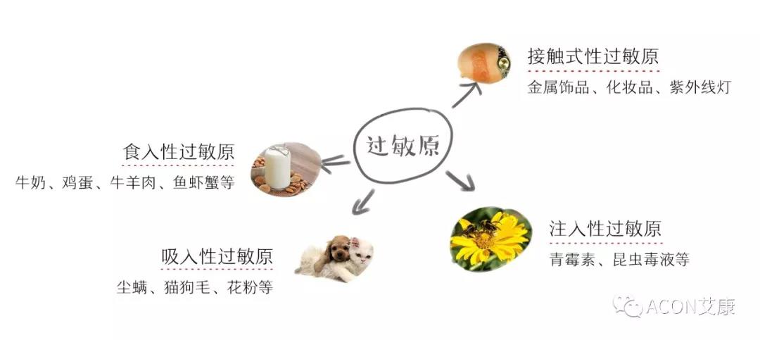 APAAACI 2019 | 深入解讀過敏原：從診斷到治療，優(yōu)化過敏原診斷管理——艾康生物過敏原檢測分會