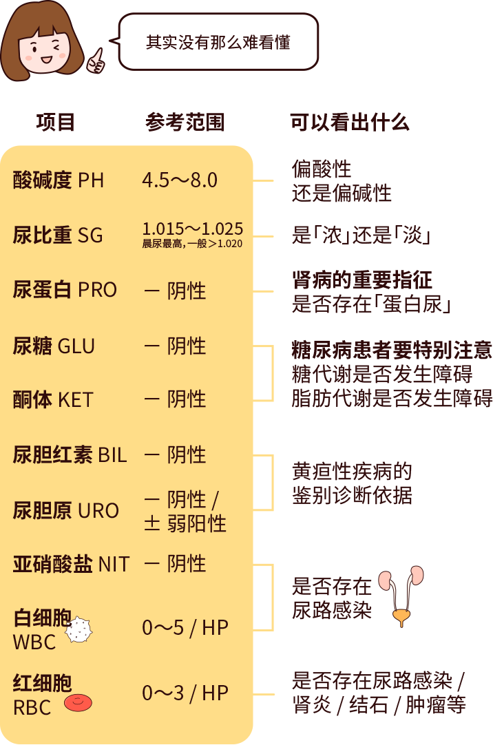 排尿黃、異味大，可能是身體在報(bào)警！