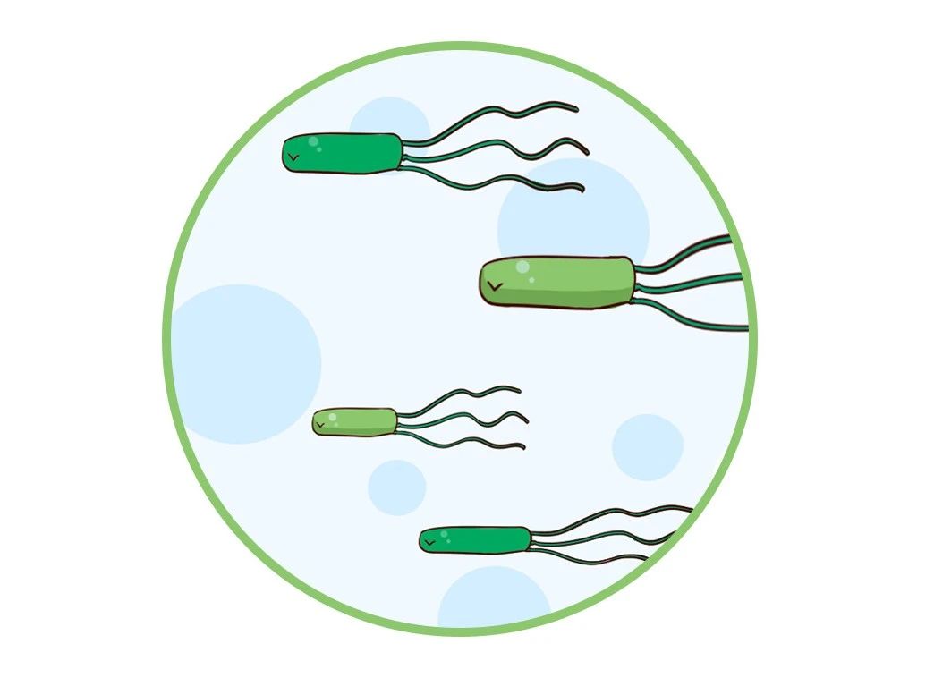 這種致癌物傳染性極強(qiáng)，50%中國人都有！很多人還不知道