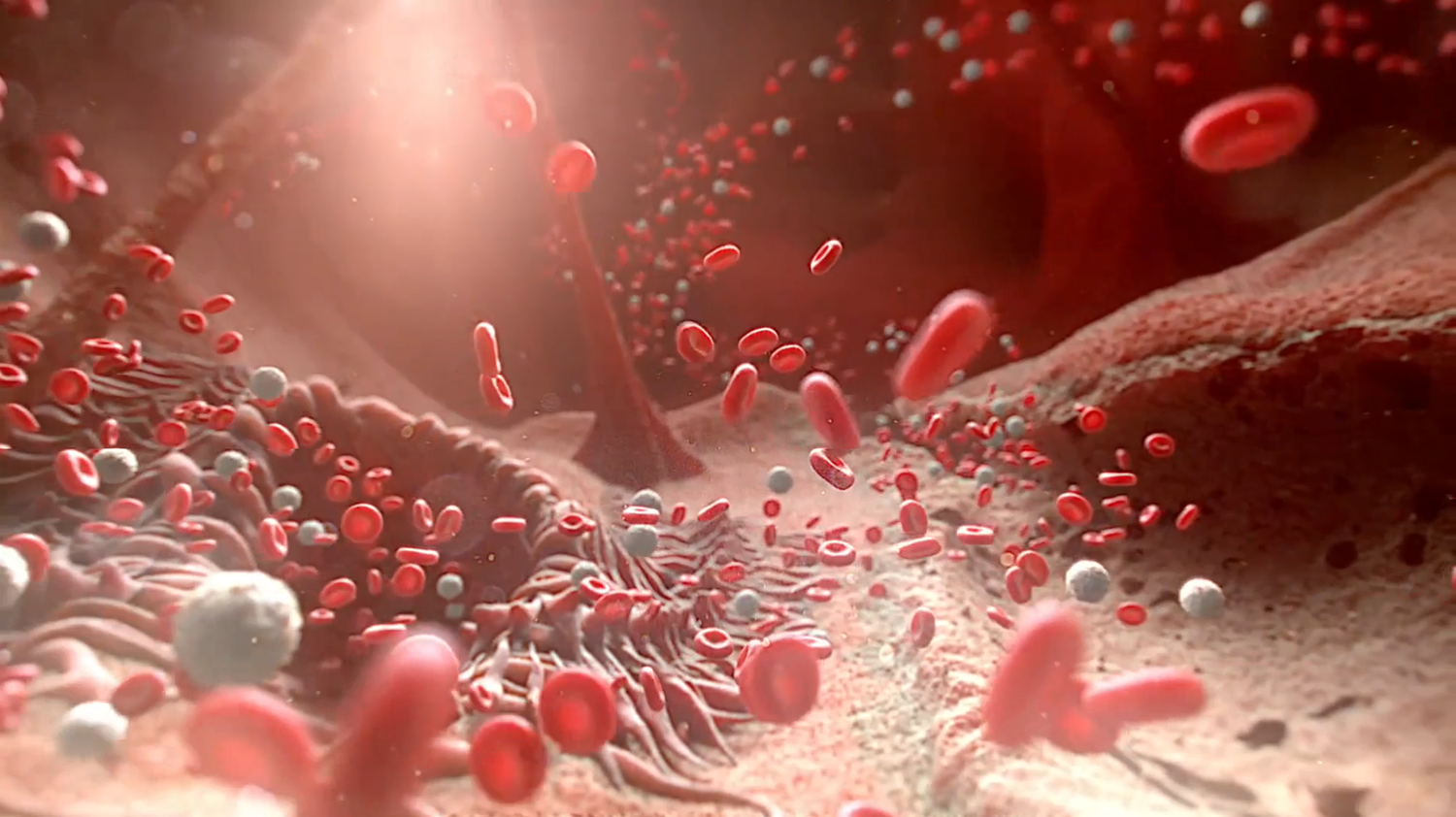 微信圖片_20221202164656.png 微信圖片_20221202164656.png